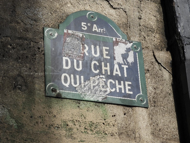 Street of the Cat who Fished - shortest narrowest alley, no doors, one window