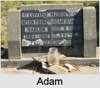 Adam HANLON