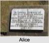 Alice C O