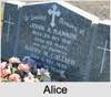 Alice M 