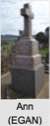 Ann DONOGHUE