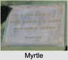 Myrtle Marwood Rose MEPHAM