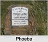 Phoebe Laura COTTERILL
