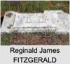 Reginald James FITZGERALD