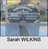 Sarah WILKINS