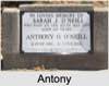 Antony Owen O