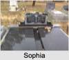 Sophia Rose SETZER