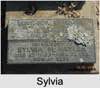 Sylvia Myrtle ROGERS