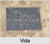 Vida Eva Ada CRAMPTON