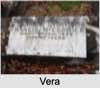 Vera Thalia Iris GOODMAN