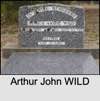 Arthur John WILD