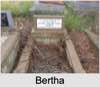 Bertha Pauline Emma MULLER