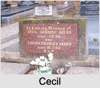 Cecil Ambrose AKERS