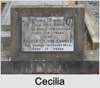 Cecilia May RODD