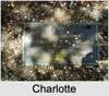 Charlotte Mary Sophia BOAG