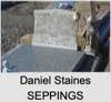 Daniel Staines SEPPINGS