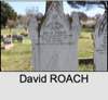 David ROACH