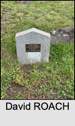 David ROACH