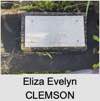 Eliza Evelyn CLEMSON