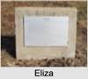Eliza Jane DAVIS