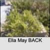 Ella May BACK