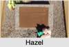 Hazel Georgina Mary BURT