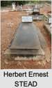 Herbert Ernest STEAD