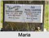 Maria A COLLINS
