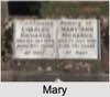 Mary Ann BADCOCK