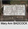 Mary Ann BADCOCK