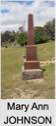 Mary Ann JOHNSON