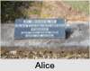 Alice Elizabeth Florence SOPER