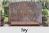Ivy Alice GOOD