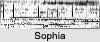 Sophia ALLPORT