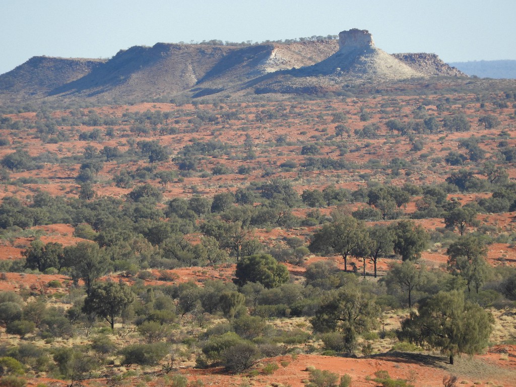 From Chambers Pillar