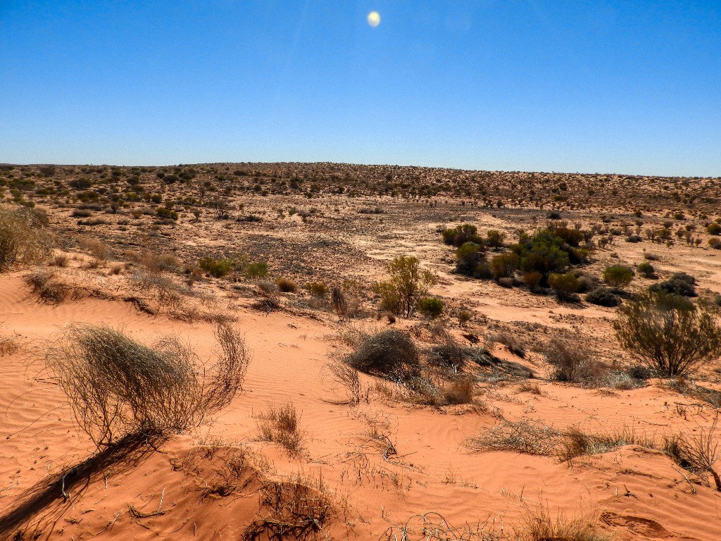 Desert swale