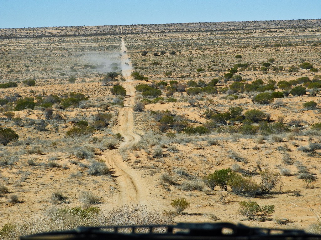 Convoy between dunes