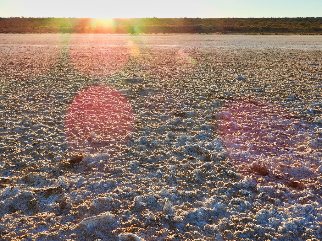 Salt pushing up sticks