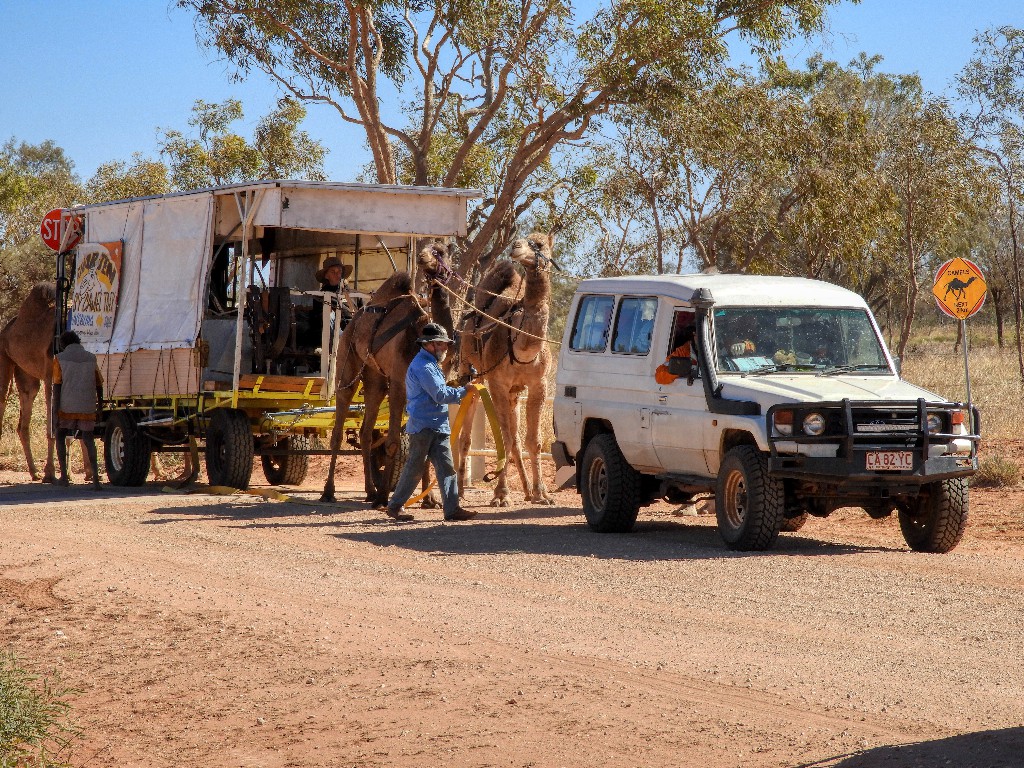 Hermannsburg to Taree