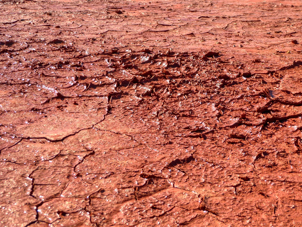 Lake Caroline - mud